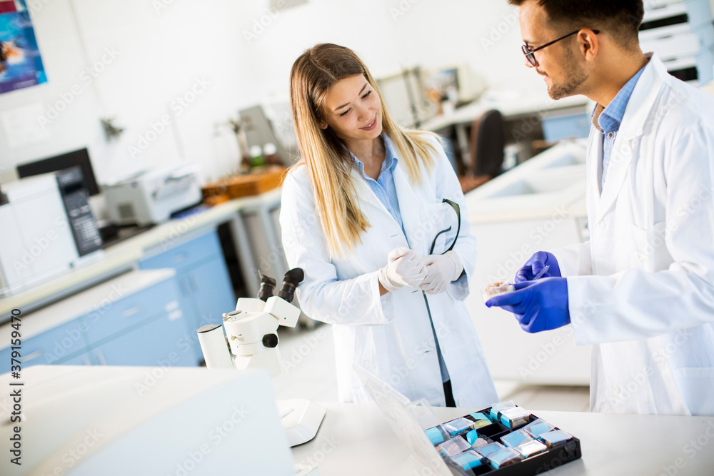 Group of young researchers analyzing chemical data in the laboratory Group of young researchers analyzing chemical data in the laboratory