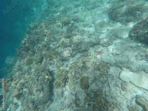 Wallpaper Mural DCIM\100GOPRO\GOPR7129.JPG Torontodigital.ca