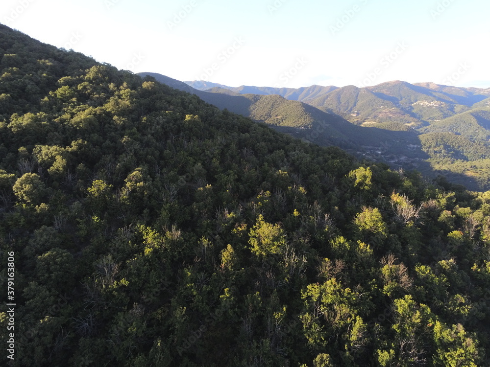 Forêt dans les Cévennes, vue aérienne Forêt dans les Cévennes, vue aérienne