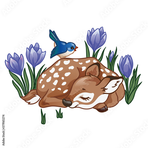 Vector illustration with cute sleeping deer with a blue bird and with flowers.. (ID: 379165274)