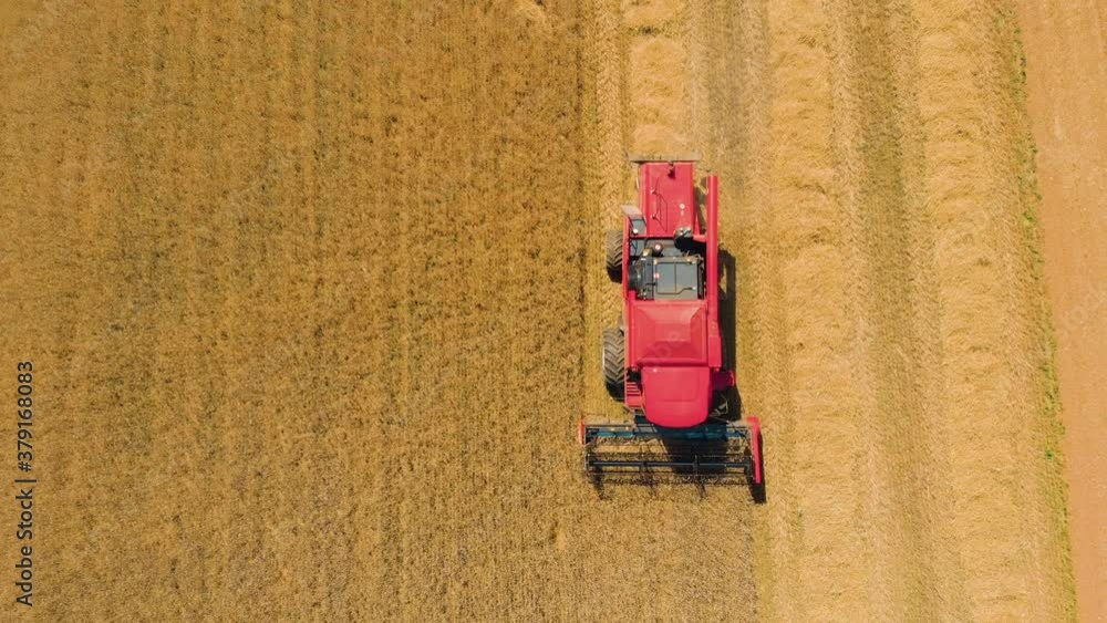Areal view of a farmer in combain harvesting wheat on a sunny day. Areal view of a farmer in combain harvesting wheat on a sunny day.