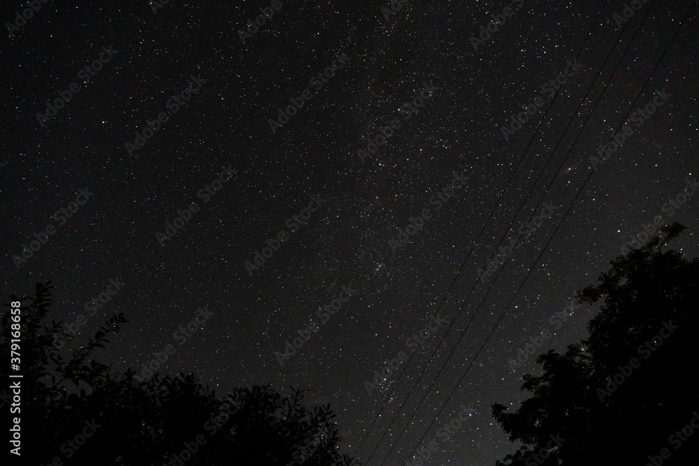 summer night starry sky summer night starry sky