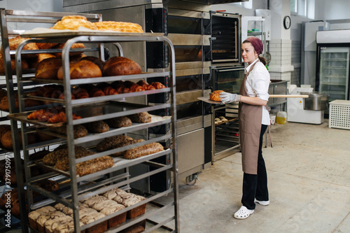 Worker in bakery with fresh bread on a flat shovel to place on a shelf