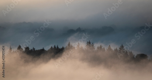 Fog, Lochwinnoch, Renfrewshire, Scotland,UK.