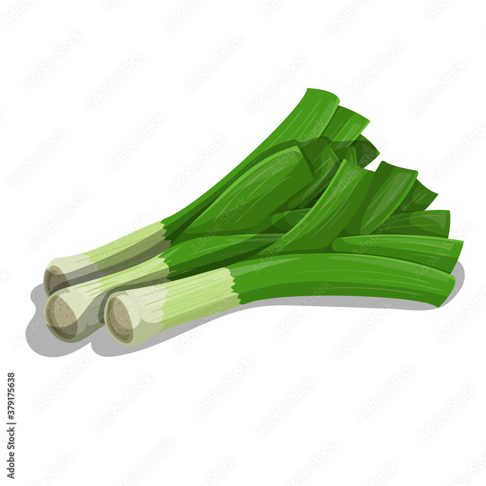Leek bunch in cartoon style. Healthy food. Farm fresh veggie just from the garden. Organic eco vegetable for salads. Vector illustration isolated on white background. Leek bunch in cartoon style. Healthy food. Farm fresh veggie just from the garden. Organic eco vegetable for salads. Vector illustration isolated on white background.
