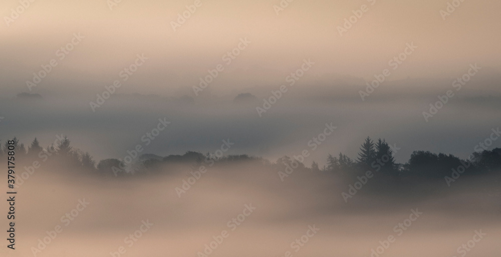 Fog , Lochwinnoch,  Renfrewshire, Scotland, UK.