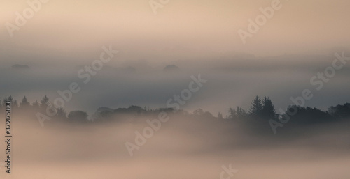 Fog , Lochwinnoch, Renfrewshire, Scotland, UK.