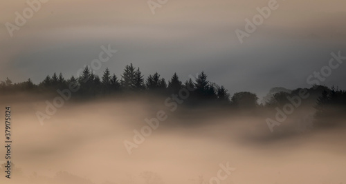 Fog  Lochwinnoch   Renfrewshire  Scotland  UK  .