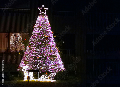 Illuminated christmas tree during christmas holiday season.