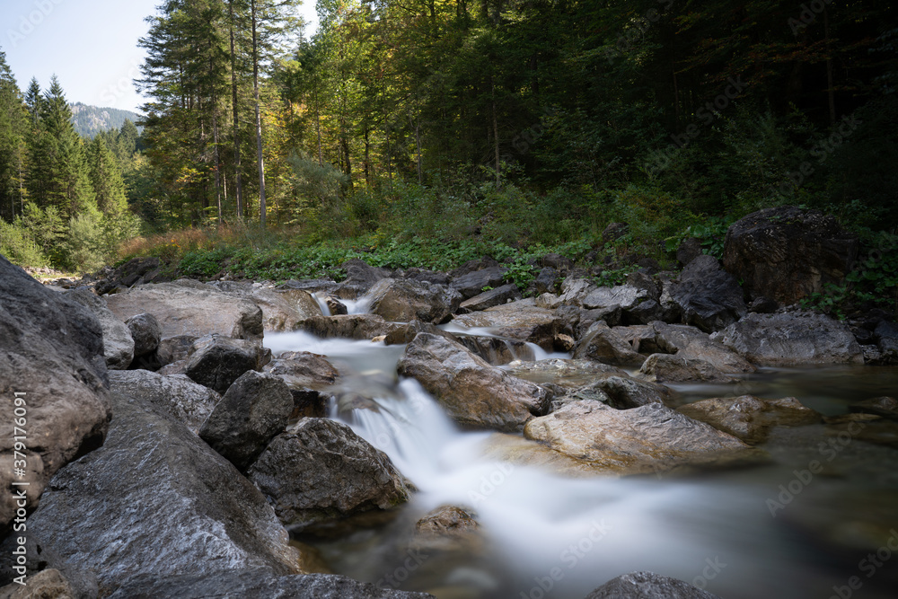 river in the forest river in the forest