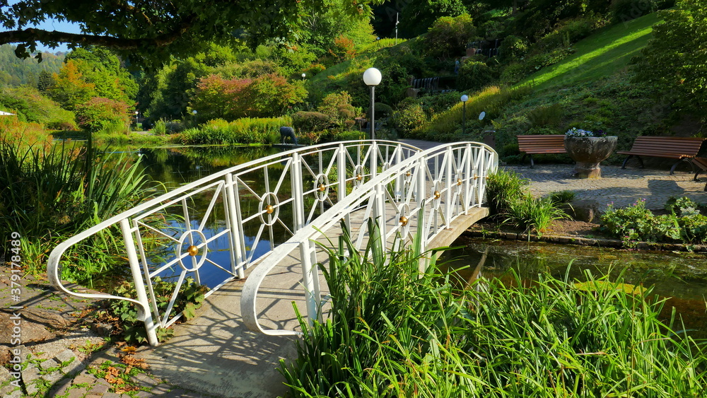 romantische Brücke im Kurpark von Bad Teinach überquert kleinen Bach in grüner Landschaft