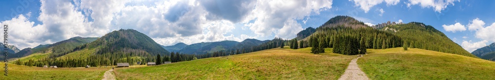 Chochołowska Valley Panorama
