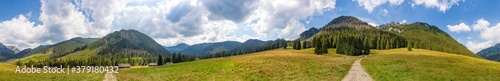 Fototapeta Naklejka Na Ścianę i Meble -  Chochołowska Valley Panorama