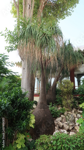 Wallpaper Mural INDE Torontodigital.ca