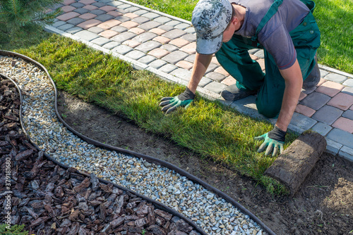 Man laying grass turf rolls for new garden lawn