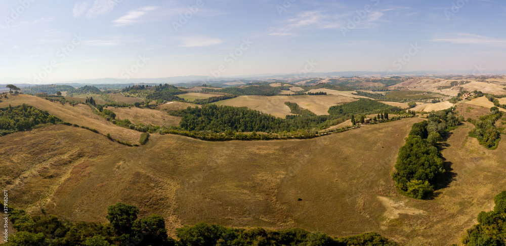 Tuscany panoramic aerial/drone view of vineyards and olive trees