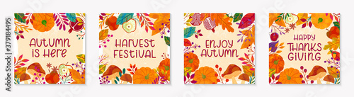 Autumn seasonals postes with leaves and floral elements in fall colors.Thanksgiving greetings and harvest fest posters perfect for prints,flyers,banners,invitations.Vector autumn illustrations