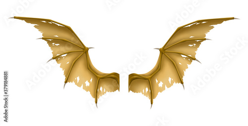 Old Wings of Dragon