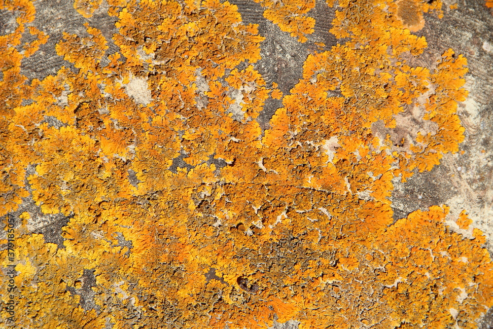 Pattern Pattern