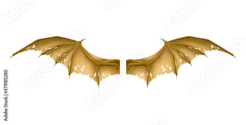 Old Wings of Dragon