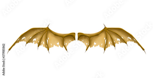 Old Wings of Dragon