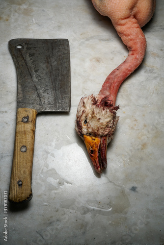 Mortara 09/10/2019 : dead goose head and cleaver photo