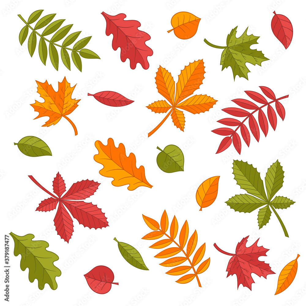 Set of colorful autumn leaves Set of colorful autumn leaves