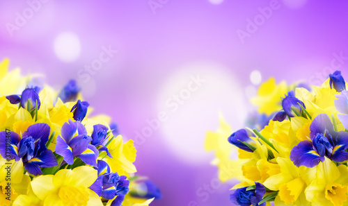 bouquet of daffodil and iris flowers