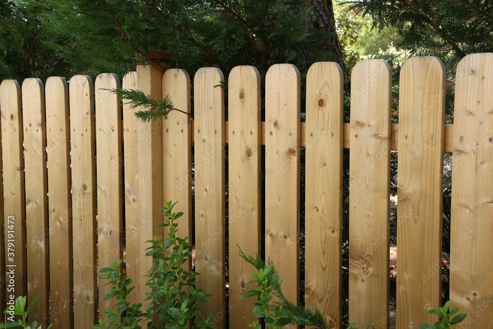 Fototapeta premium Wooden garden fence at backyard and trees in summer
