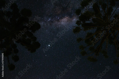 Céu estrelado e Via Láctea em noite escura e céu limpo com sombra de duas árvores. photo