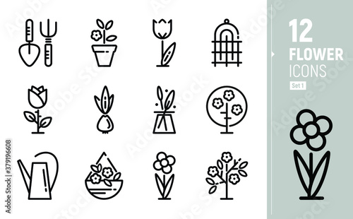 Modern flower icons. Contour icons in flat style. Solid flat icons. Garden flowers, Floristics.