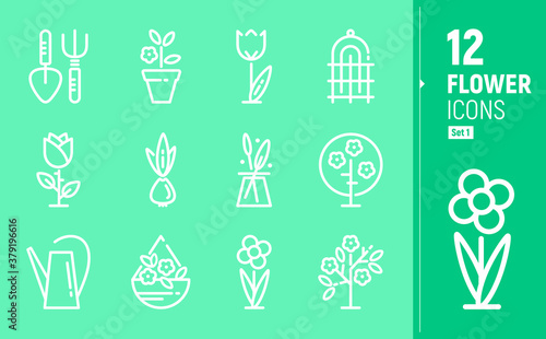 Modern flower icons. Contour icons in flat style. White inverted flat icons. Garden flowers, Floristics.