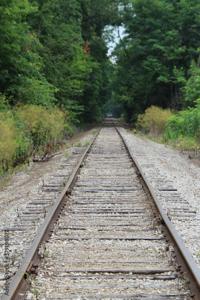 Looking Down the Tracks