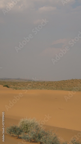Wallpaper Mural SAFARI JAISALMER INDE DESERT Torontodigital.ca