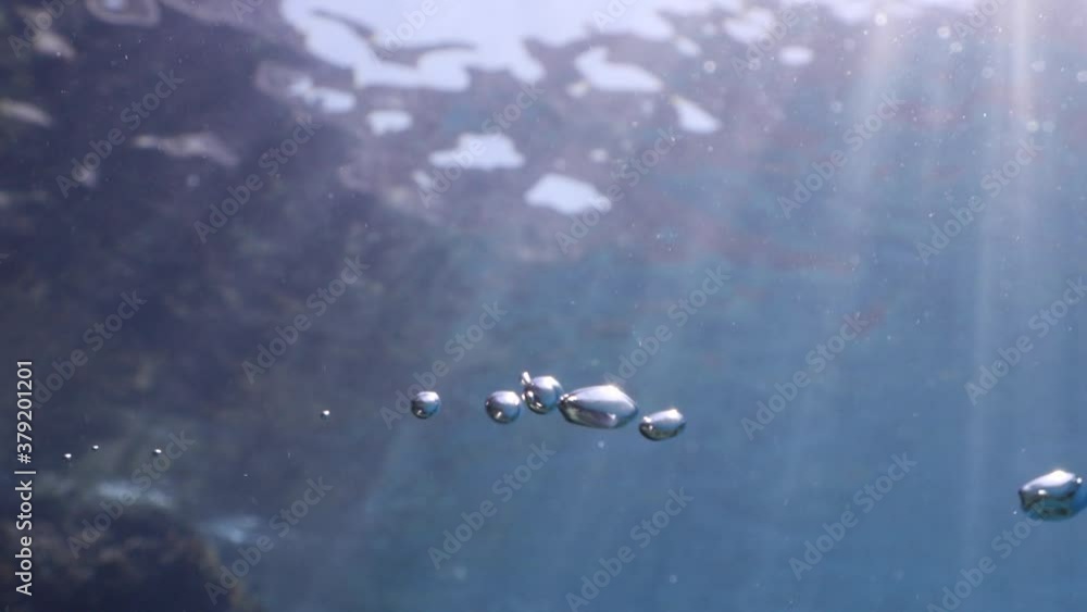 air bubbles underwater in blue water moving strange some in focus some out of focus making nive background shapes with sun rays and sun shine air bubbles underwater in blue water moving strange some in focus some out of focus making nive background shapes with sun rays and sun shine