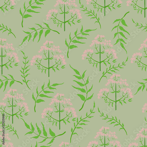 Seamless Pattern with Different Parts of Valeriana