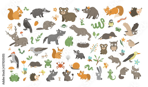 Big set of vector hand drawn flat woodland animals, their babies, birds, insects and forest clipart. Funny animalistic collection. Cute illustration with bear, fox, squirrel, deer, hedgehog..