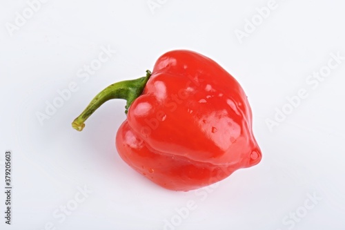 Fresh habanero peppers, isolated on white