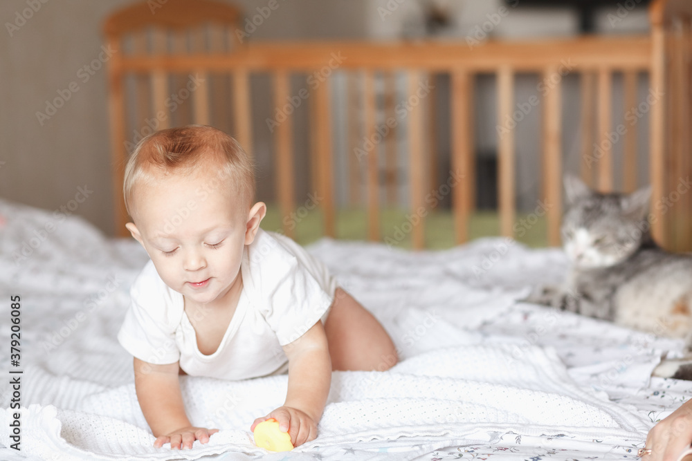 little child playing with toy in the bedroom with cat close up little child playing with toy in the bedroom with cat close up