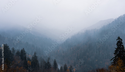 fog in the mountains © Hwang