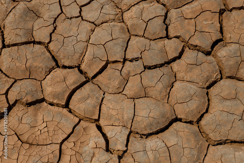 cracked and dried up the earth's surface