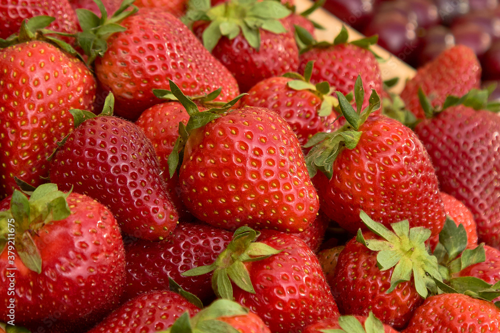 strawberries are fresh against the background of nature a lot of ripe berries strawberries are fresh against the background of nature a lot of ripe berries