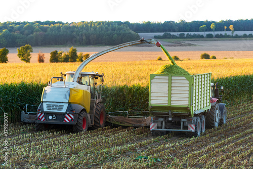 combine harvester working in a field at maize harvest