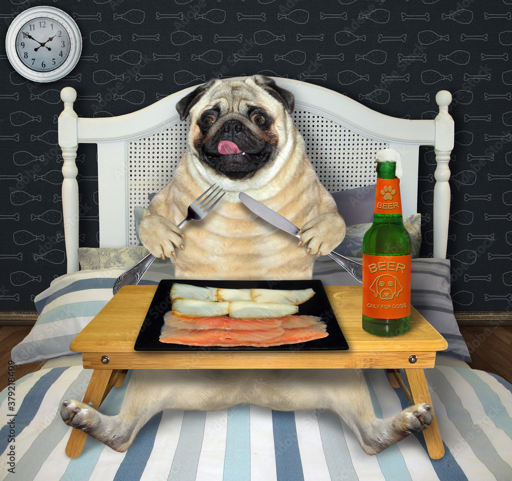 Fish pug hotsell