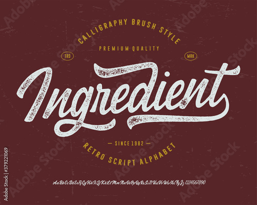 
CALLIGRAPHY SCRIPT FONT- INGREDIENT. VECTOR TYPEFACE
