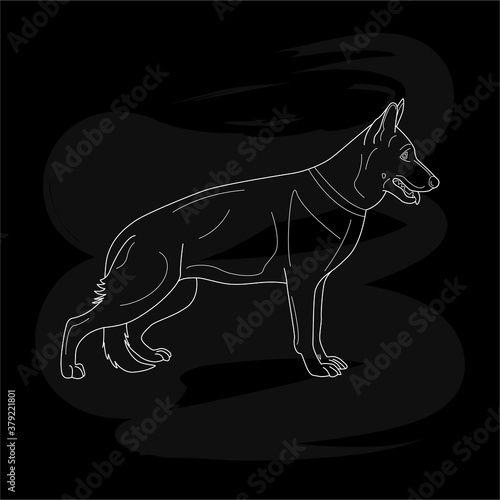 Vector illustration of line silhouette of a shepherd. Icon for a pet shop or a dog kennel catalogue, banner, price list, ads, web site or clothes design or print. White drawing on black background
