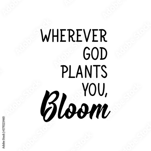 Wherever God plants you, bloom. Lettering. Calligraphy vector. Ink illustration. Religion Islamic quote