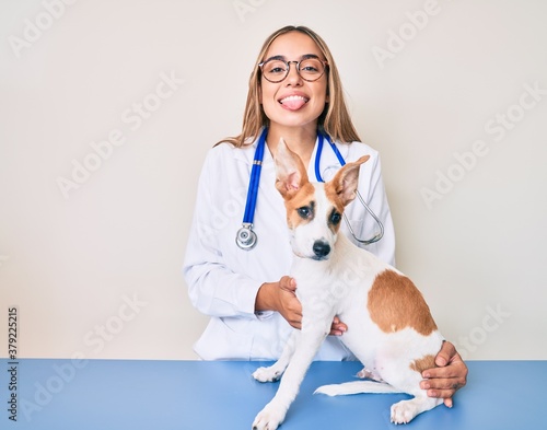 Young beautiful blonde veterinarian woman checking dog health sticking tongue out happy with funny expression.