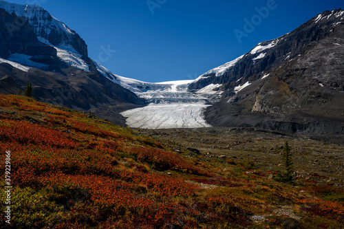 The spectacular panorama, the dramatic mountain terrain and the fall color of high alpine flora give the Athabasca Glacier along the Columbia Icefield a heavenly beauty