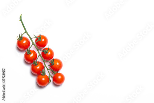 Cherry tomatoes branch isolated on white background . Red tomato. Tomatoes on a branch. Isolated background. Article about vegetables. Decoration. Copy space.